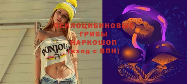 ПСИЛОЦИБИНОВЫЕ ГРИБЫ Липки