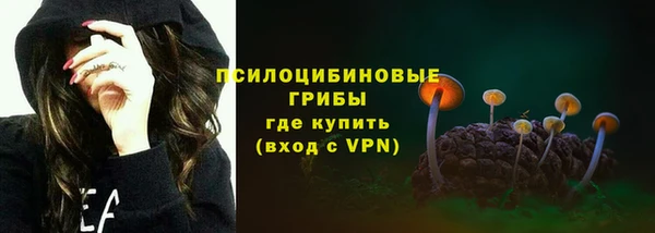 герыч Ладушкин