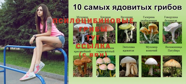 ПСИЛОЦИБИНОВЫЕ ГРИБЫ Липки
