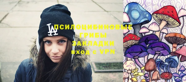 герыч Ладушкин