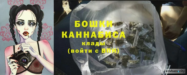 ПСИЛОЦИБИНОВЫЕ ГРИБЫ Липки